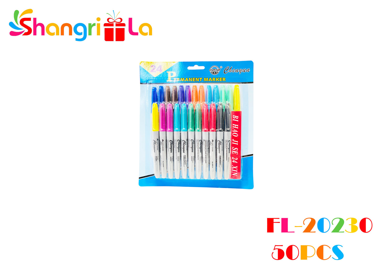 SET 24 PLUMONES PERMANENTES