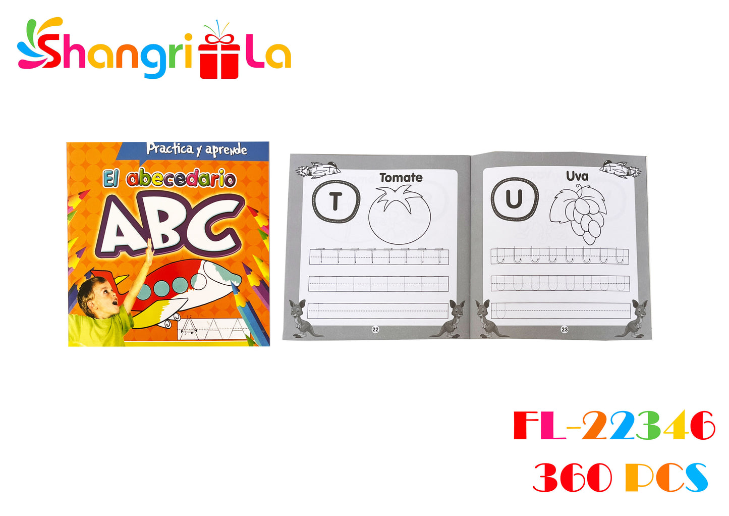 LIBRO DE PRACTICA DEL ABECEDARIO