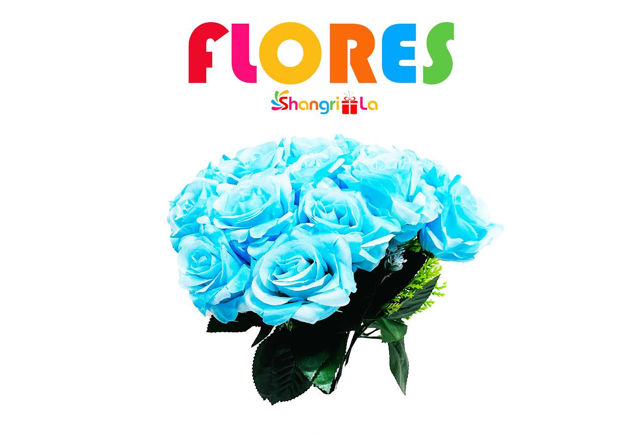 12 FLORES