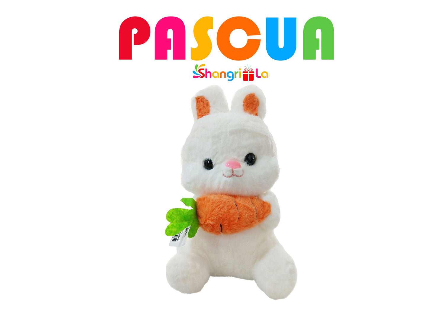 PASCUA
