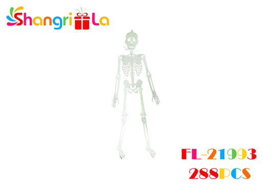 ESQUELETO