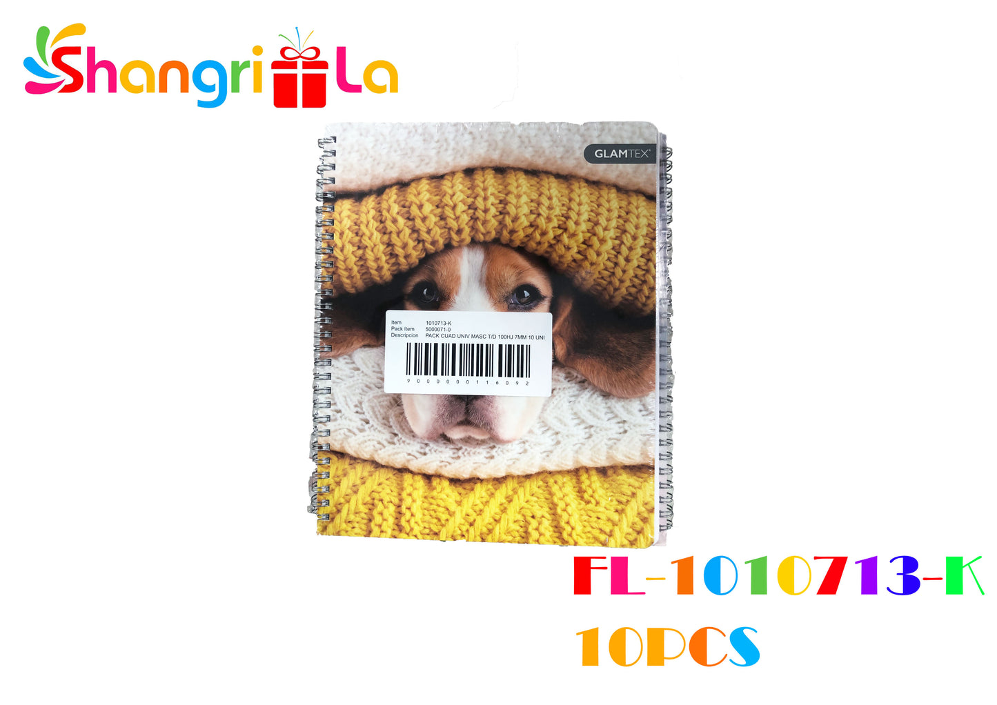 PACK CUADERNOS UNIV MASC 10 UNIDADES